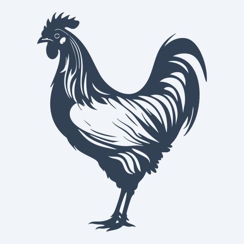 a chicken graphic
