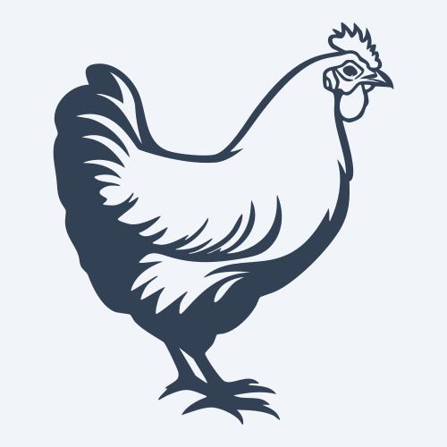 a chicken graphic