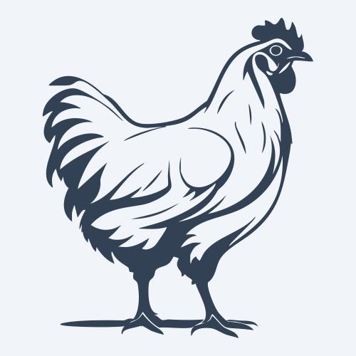 a chicken graphic