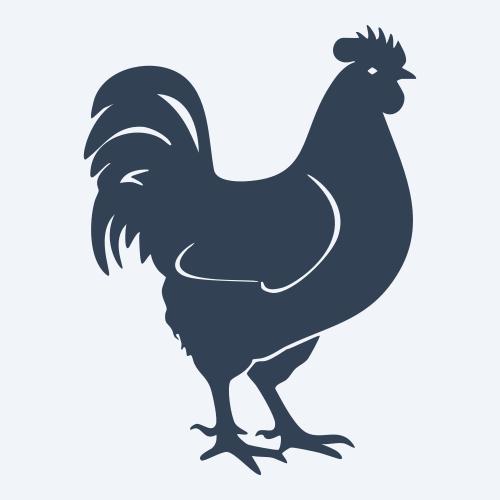 a chicken graphic