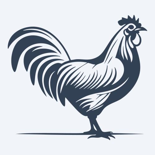 a chicken graphic