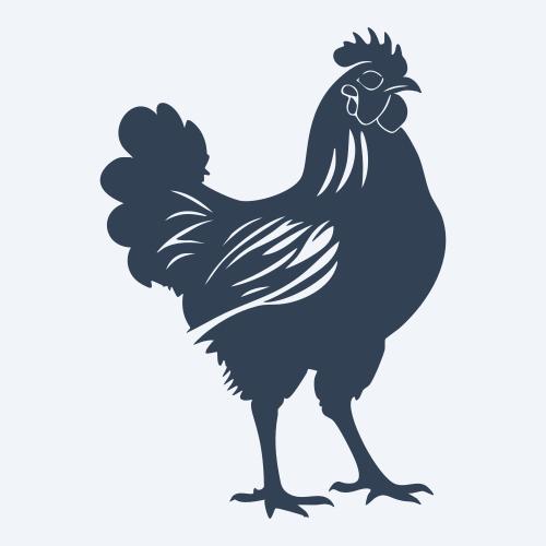 a chicken graphic