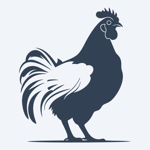 a chicken graphic