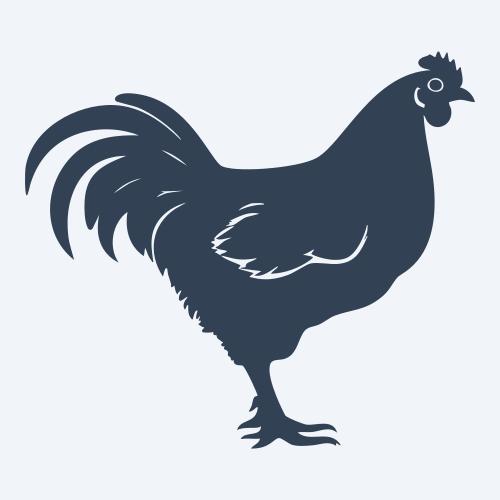a chicken graphic