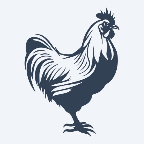a chicken graphic