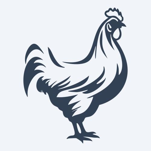 a chicken graphic