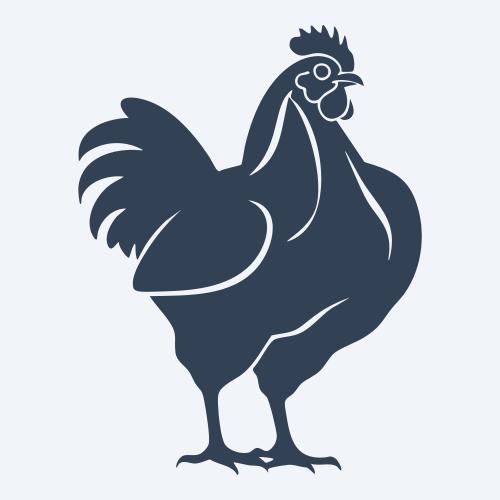 a chicken graphic
