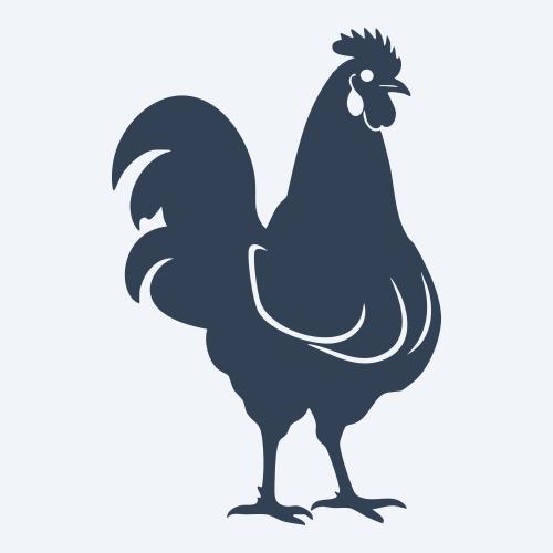 a chicken graphic