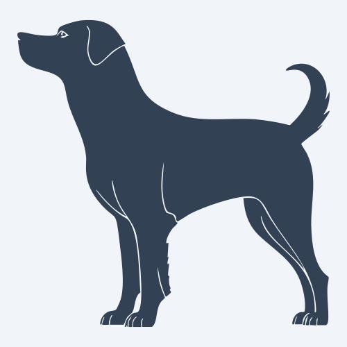 a dog graphic