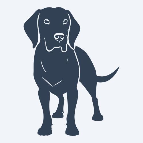 a dog graphic