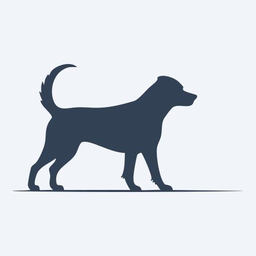 a dog graphic