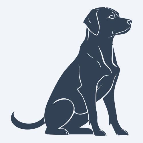 a dog graphic