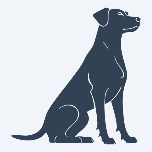 a dog graphic