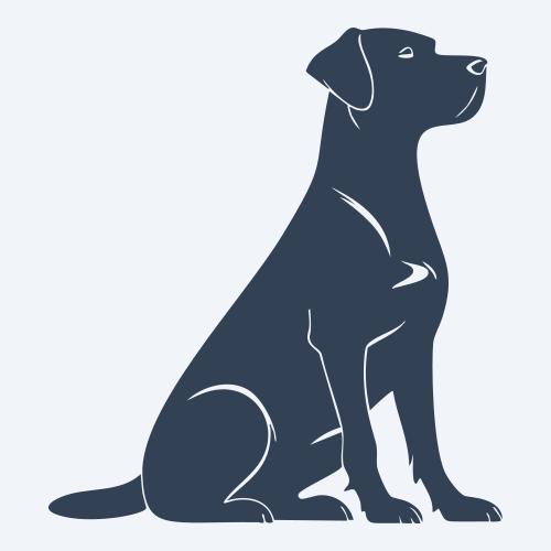 a dog graphic