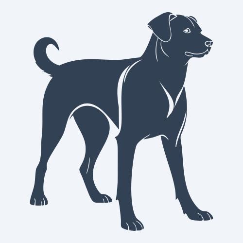 a dog graphic