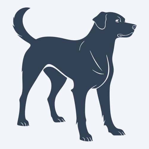 a dog graphic