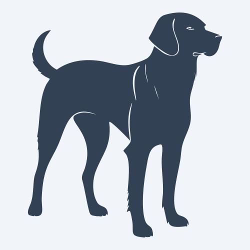 a dog graphic