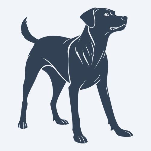 a dog graphic