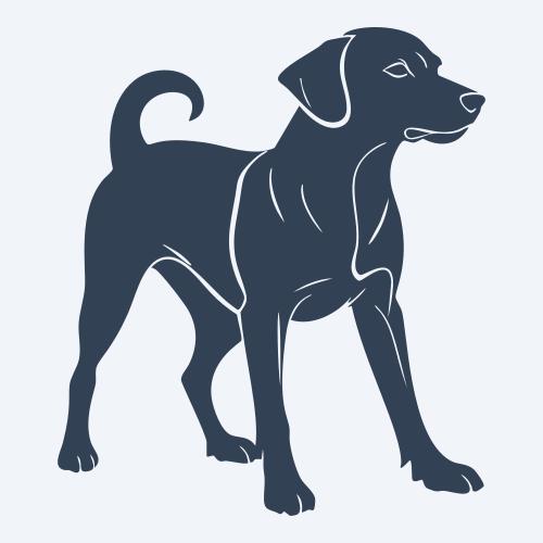a dog graphic