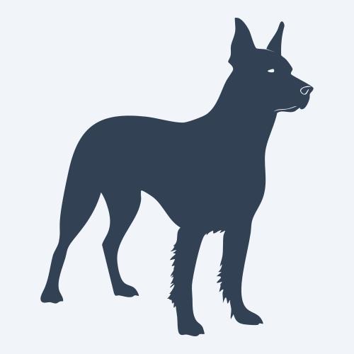 a dog graphic