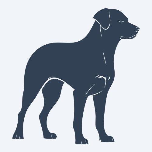 a dog graphic