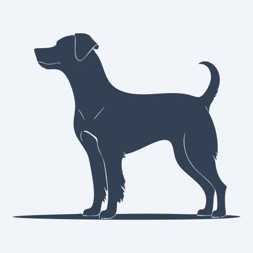 a dog graphic