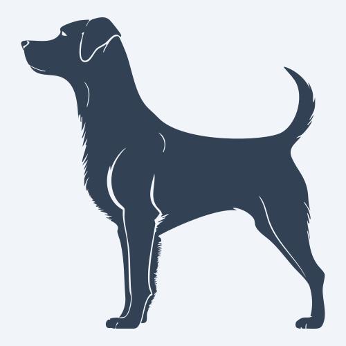 a dog graphic