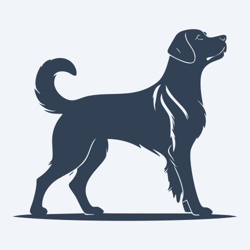 a dog graphic