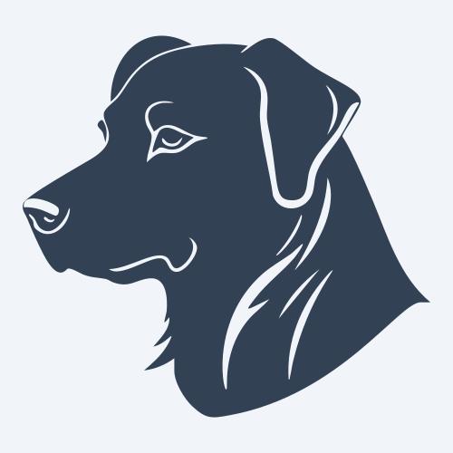 a dog graphic
