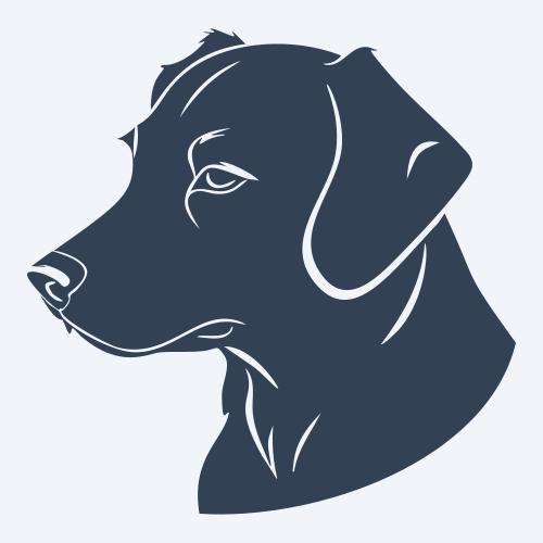 a dog graphic