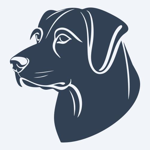 a dog graphic