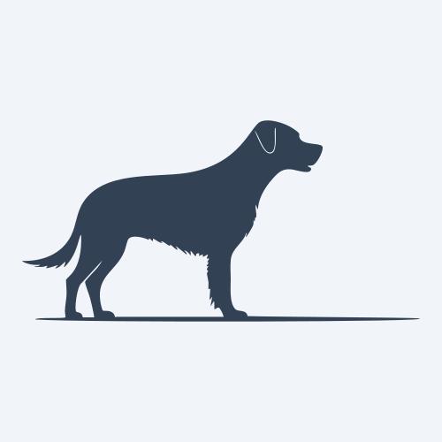 a dog graphic