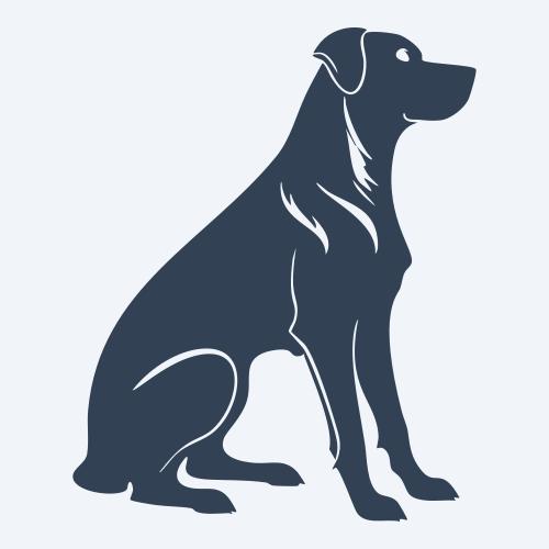 a dog graphic