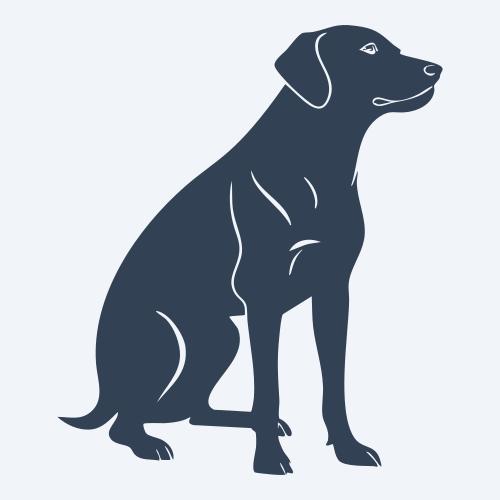 a dog graphic