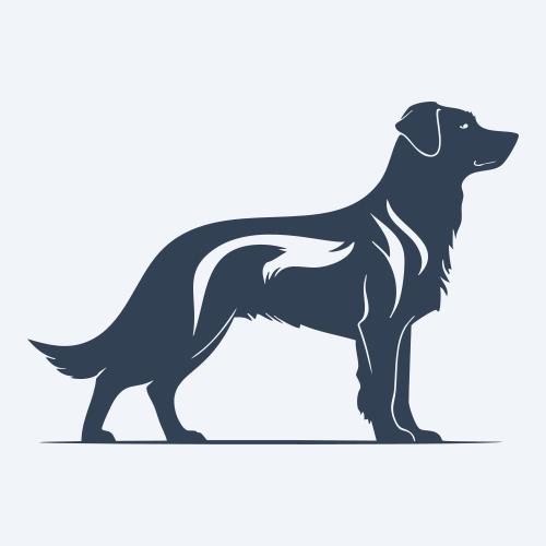 a dog graphic
