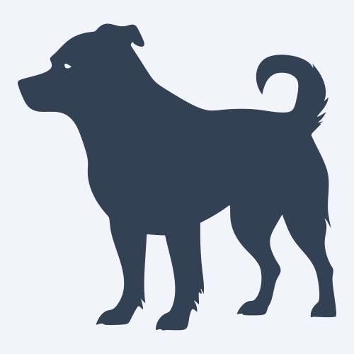 a dog graphic