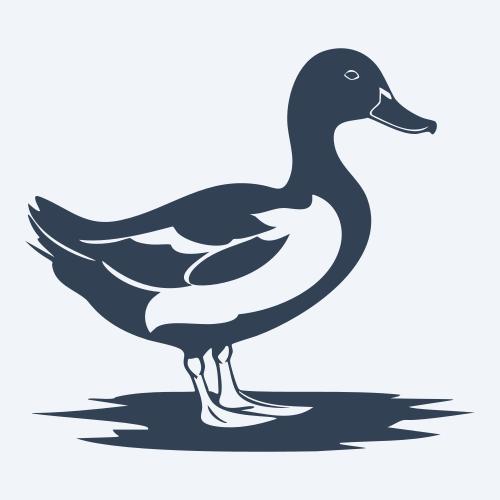 a duck graphic