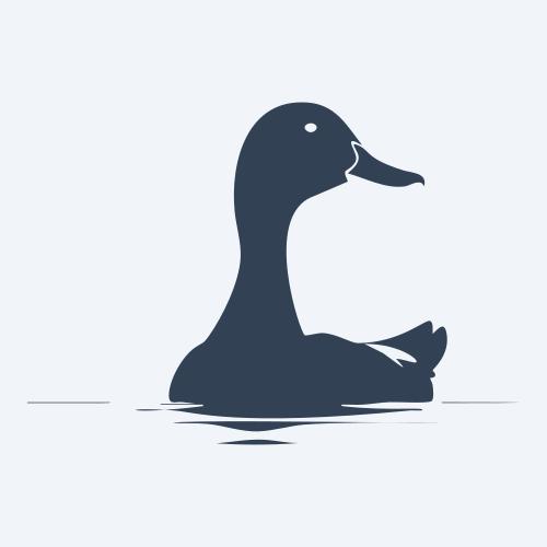a duck graphic
