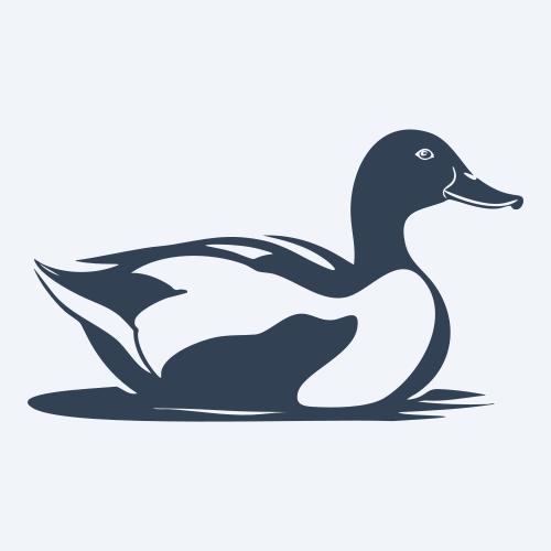 a duck graphic