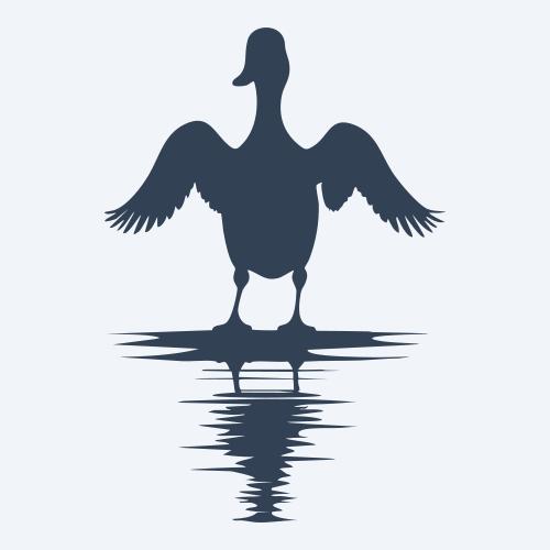 a duck graphic