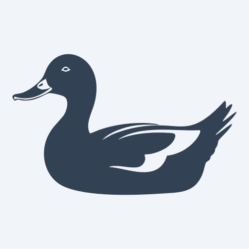 a duck graphic