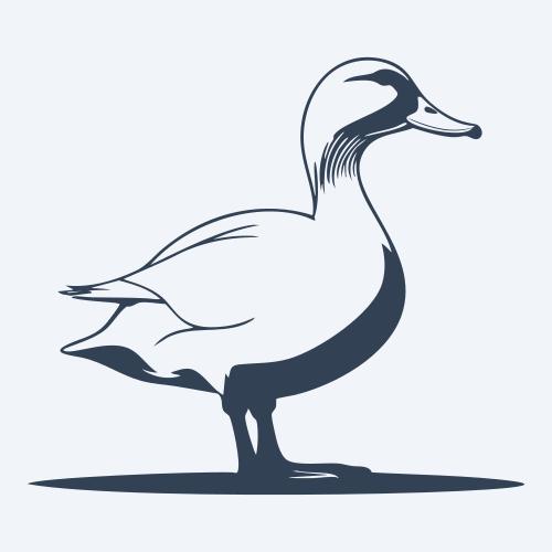 a duck graphic