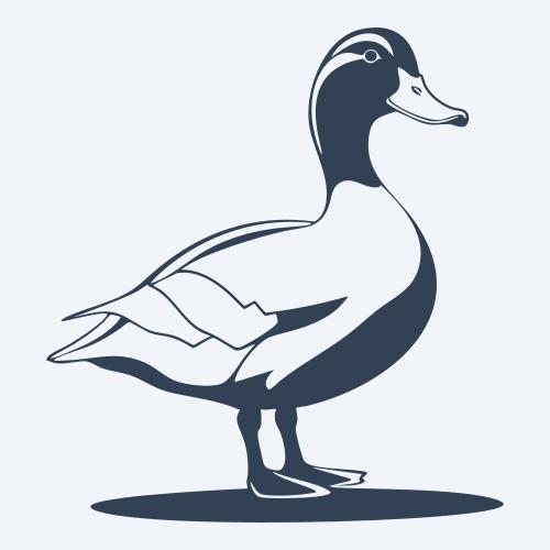 a duck graphic