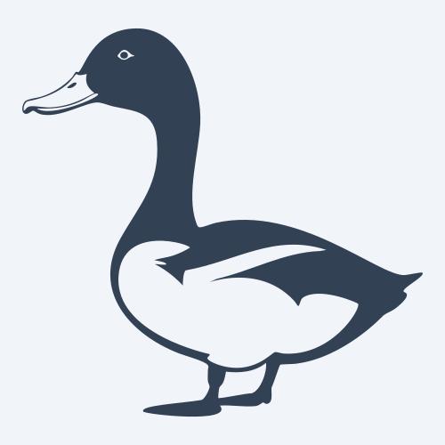 a duck graphic