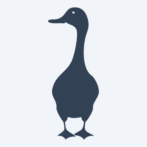 a duck graphic