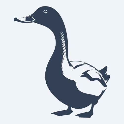 a duck graphic