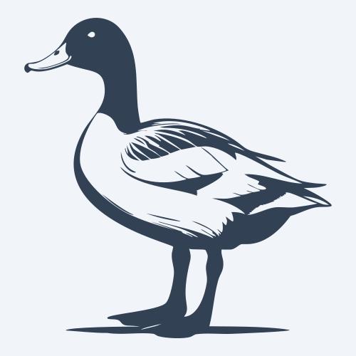 a duck graphic