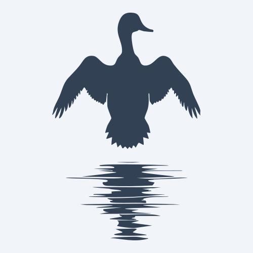 a duck graphic
