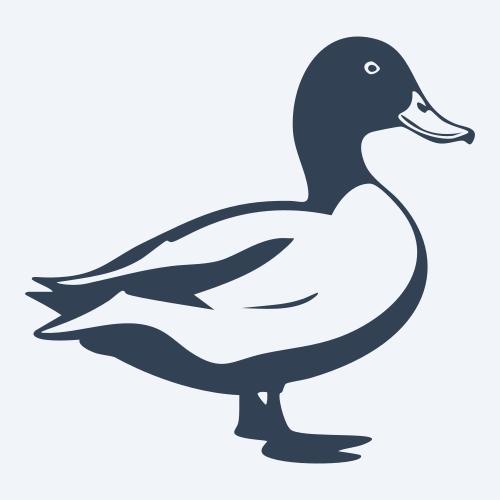 a duck graphic