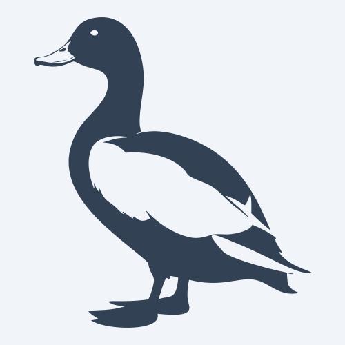 a duck graphic